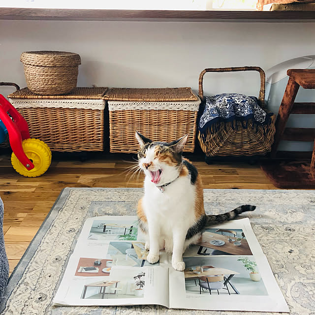 Maruさんの実例写真