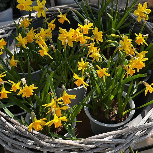 okyame-chanさんの部屋