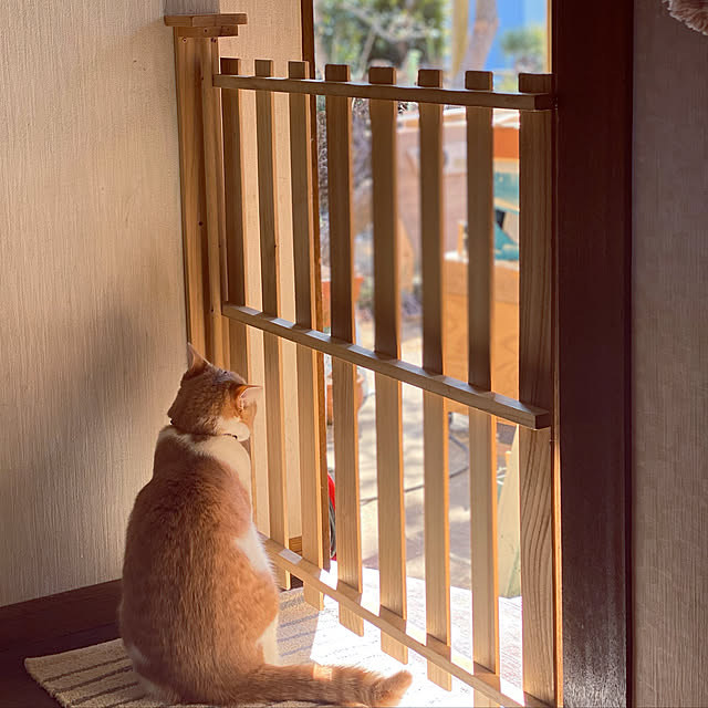 mintteaさんの実例写真