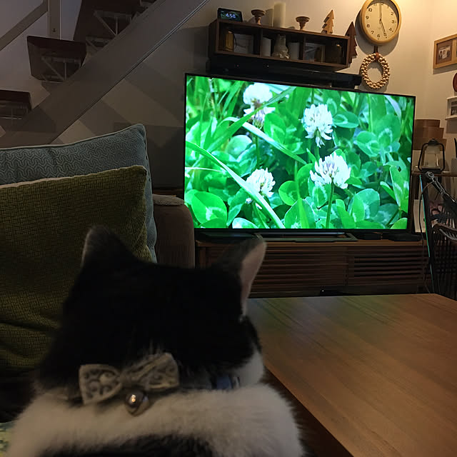 kojimasaさんの部屋