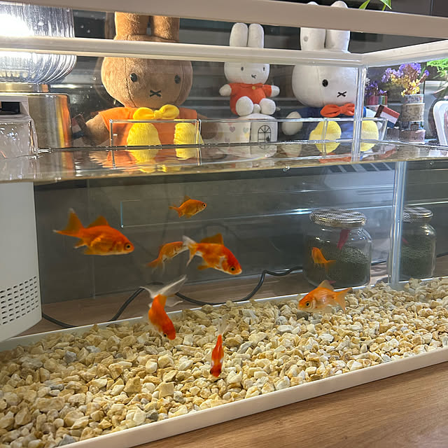 miffy.0044さんの部屋