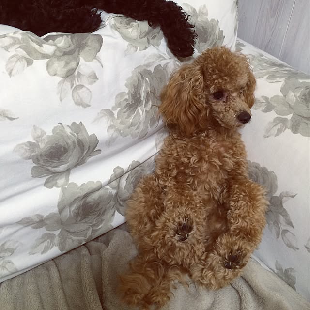 natulove0418さんの実例写真