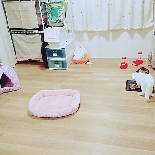 maroさんの実例写真