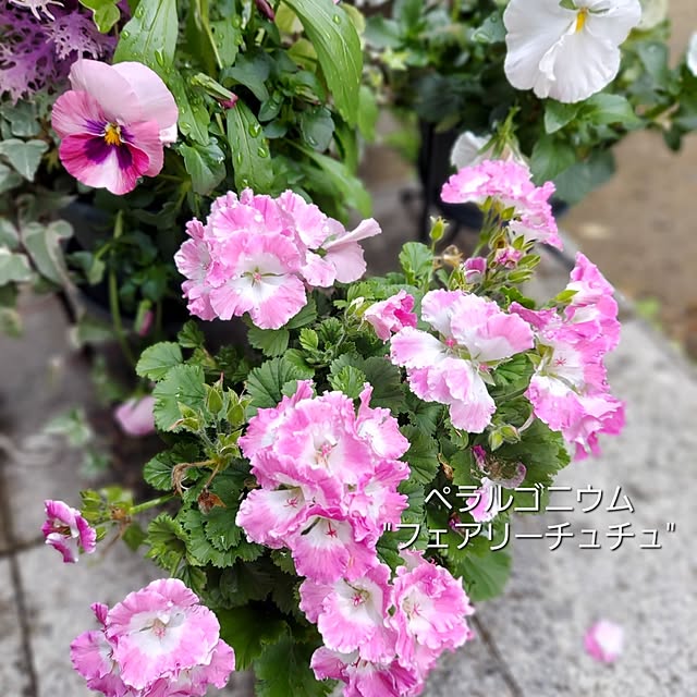 makkyさんの部屋