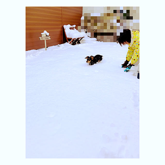 yukoさんの実例写真