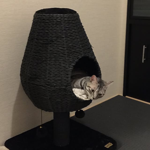 canal108yyさんの実例写真