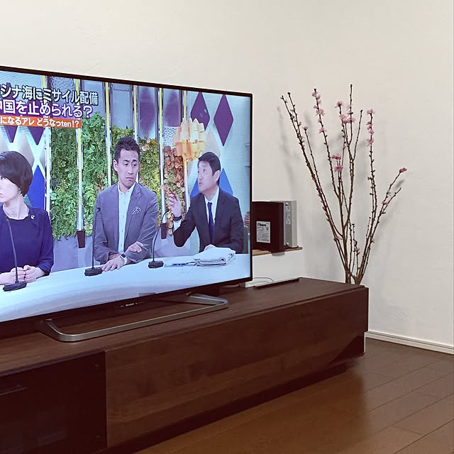 リビングのインテリア実例 - 2016-02-22 18:47:16