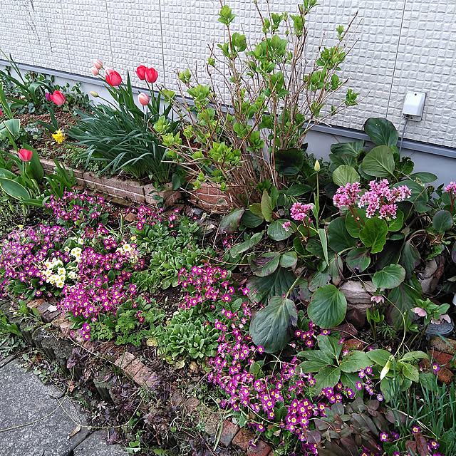 posauruさんの実例写真