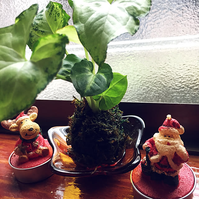 mimichankさんの実例写真