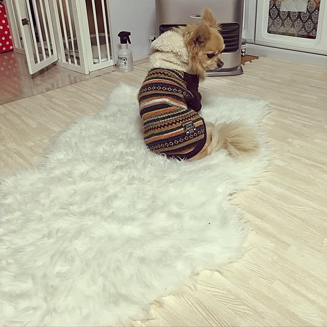 chocomamaさんの実例写真