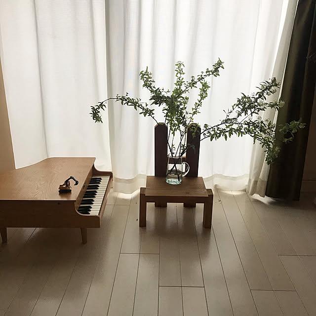 izuboさんの実例写真