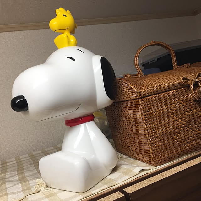 akosanさんの実例写真