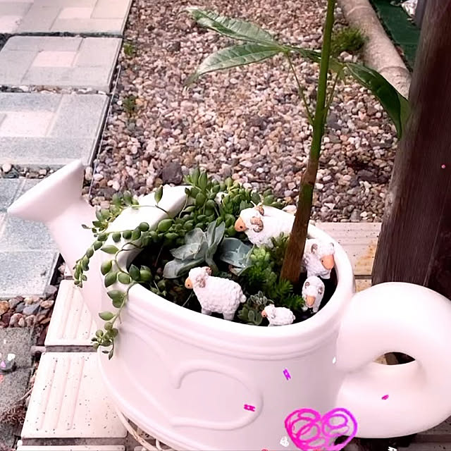 kiyoさんの実例写真