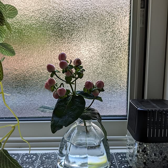 8393さんの実例写真
