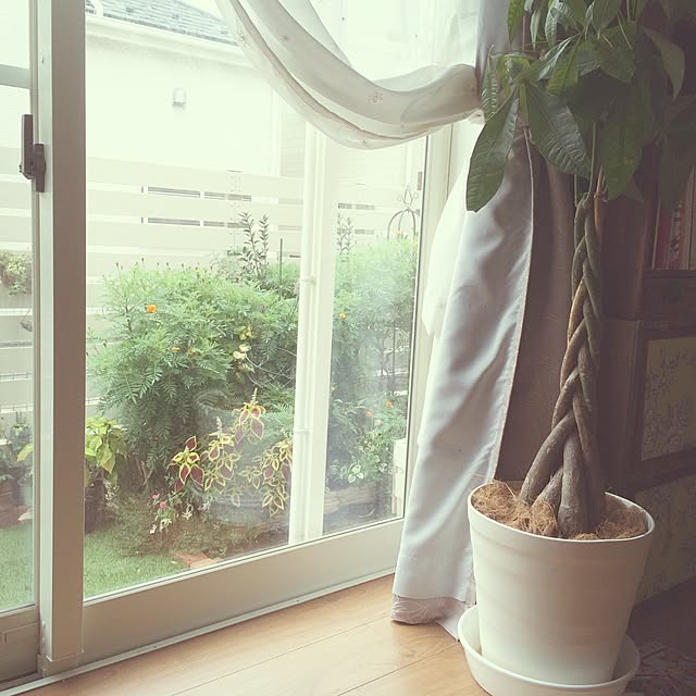 bambi_eyeさんの実例写真