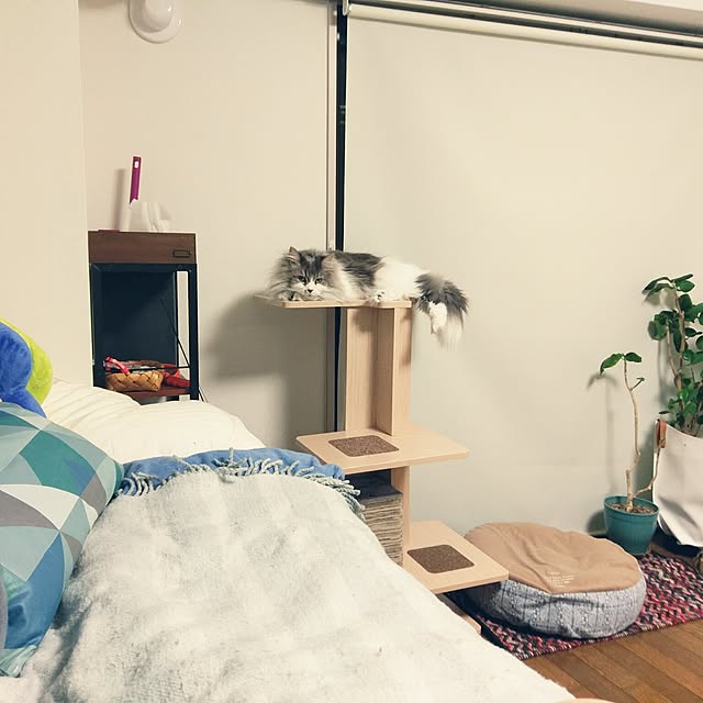 inumonuさんの実例写真