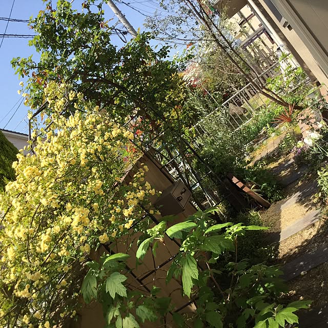 mippoko345さんの実例写真