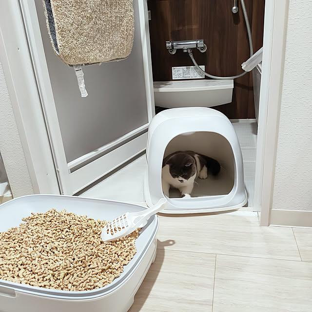 KEIKOさんの実例写真