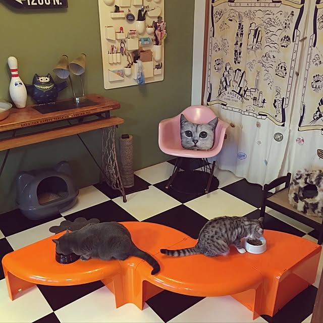 Shojiさんの実例写真