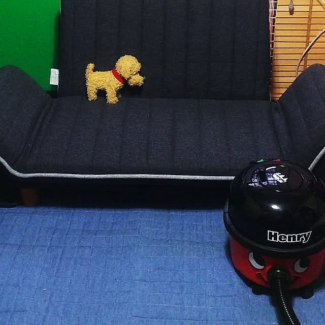 cherrycherryさんの実例写真
