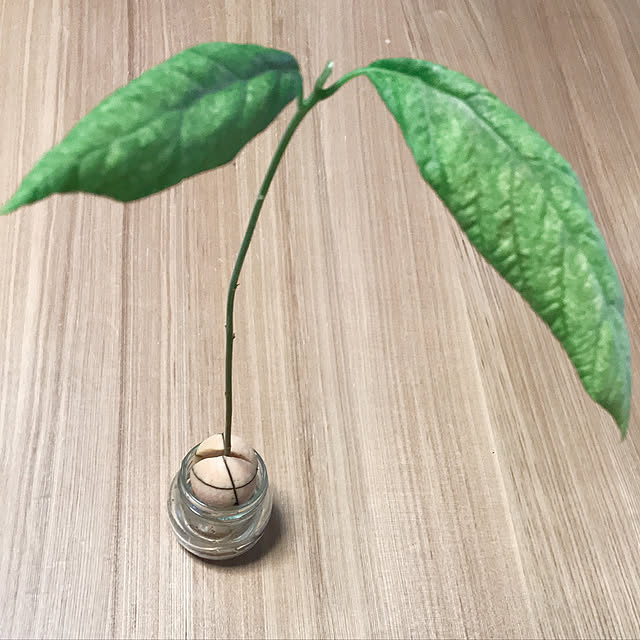 HANAさんの実例写真