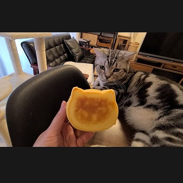 lovepeaceさんの実例写真