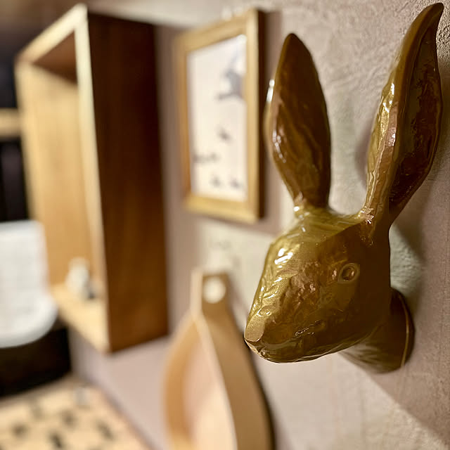 usaco.さんの実例写真