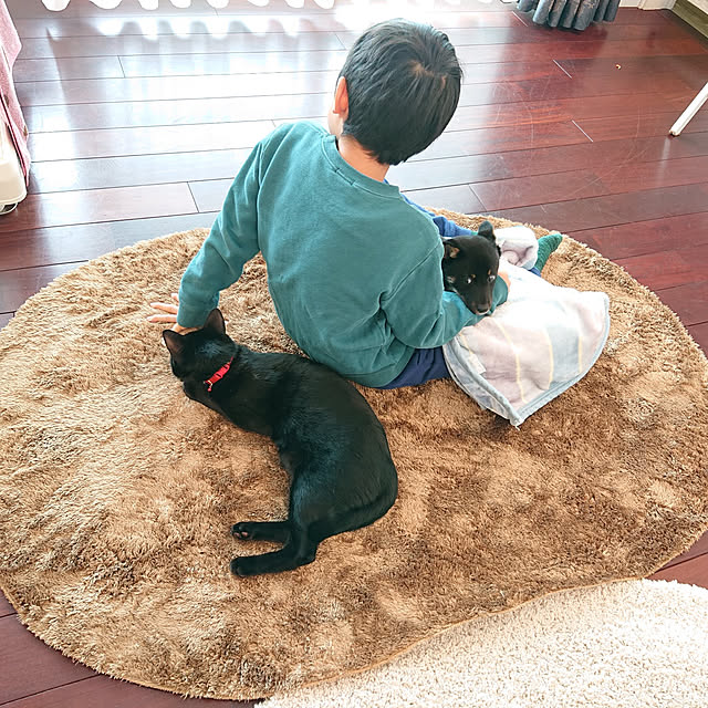 piさんの実例写真