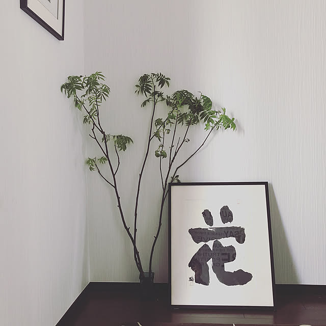 konosukeさんの実例写真