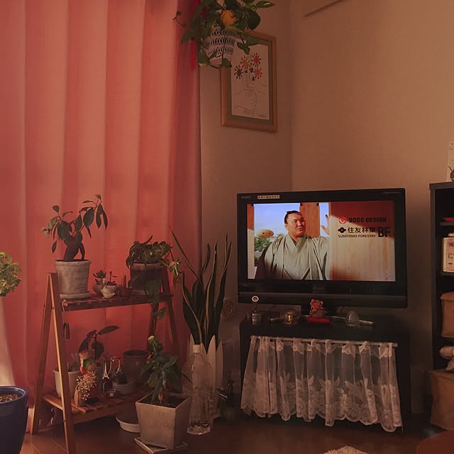 ranさんの実例写真