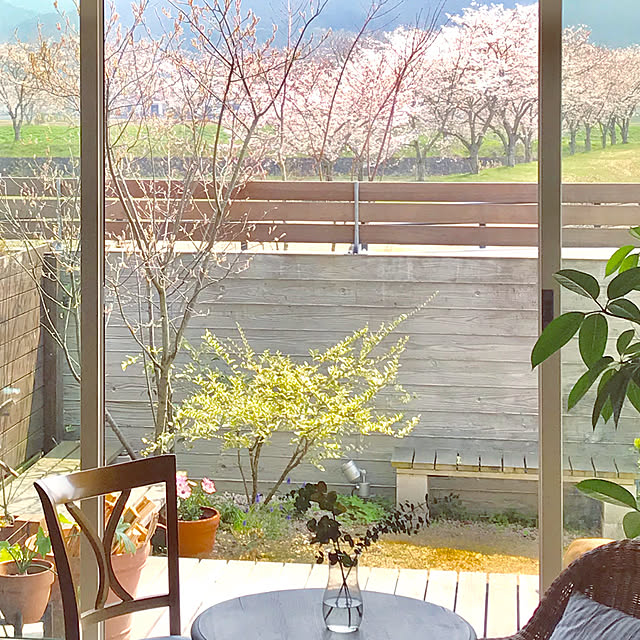yukariさんの実例写真