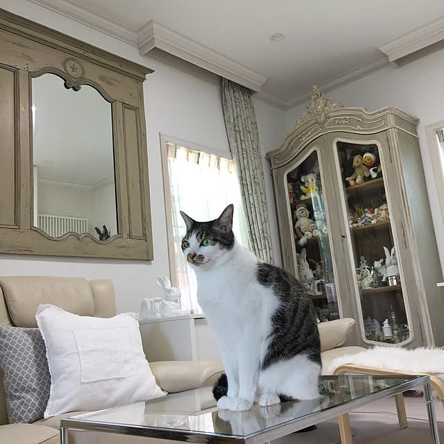 yuchiさんの実例写真