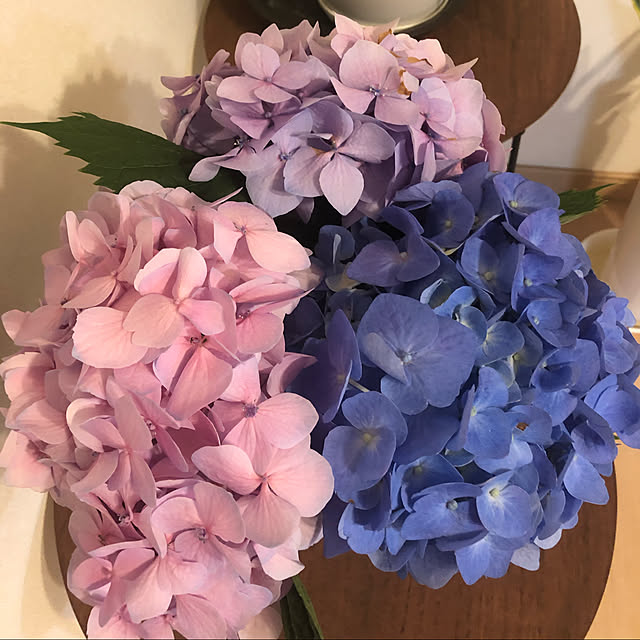 xiaohuai7788さんの実例写真