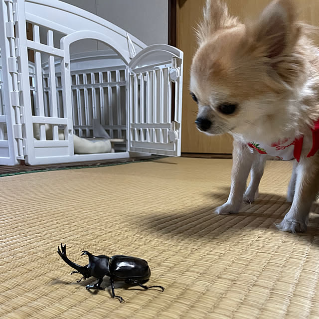 natsumiさんの部屋