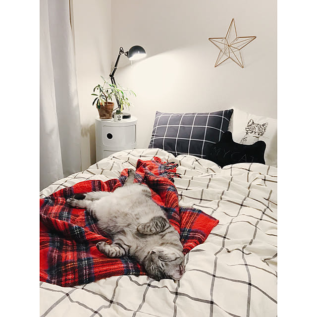 ineko_kさんの実例写真