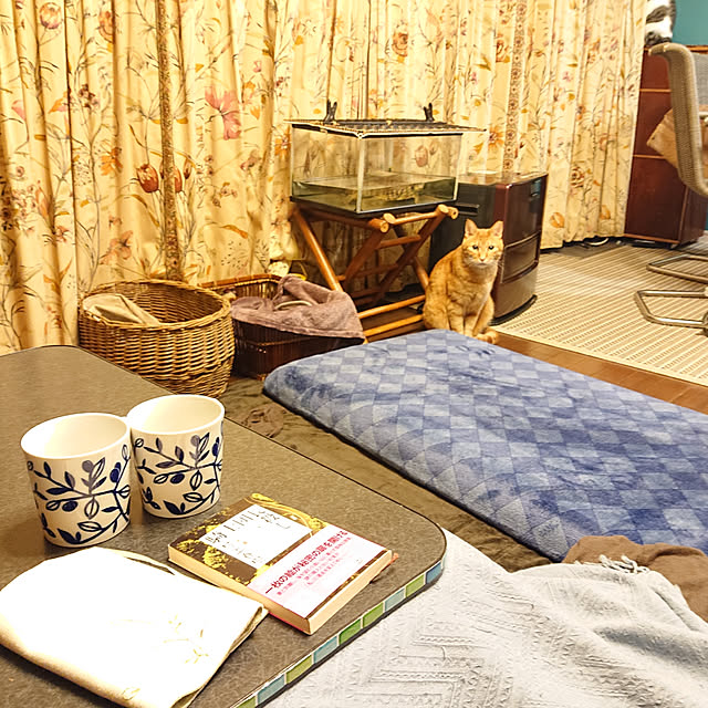 okyosan101さんの実例写真