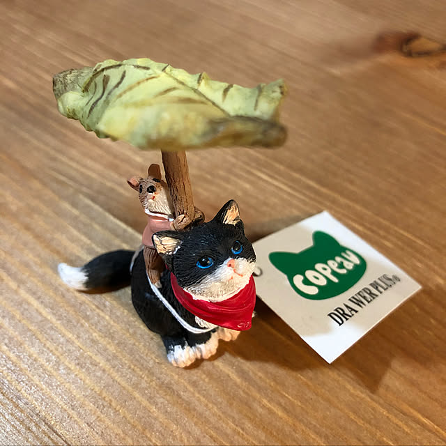 kaorinさんの実例写真