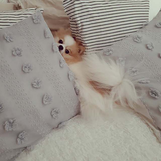 noahさんの実例写真