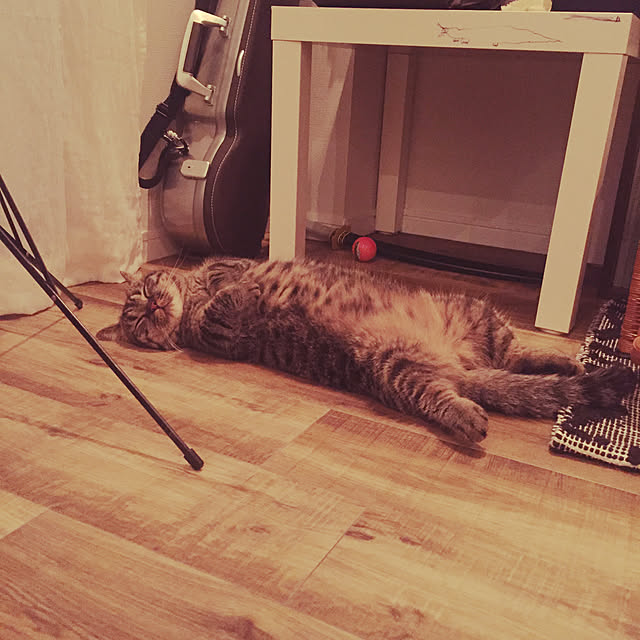 nocomomさんの実例写真