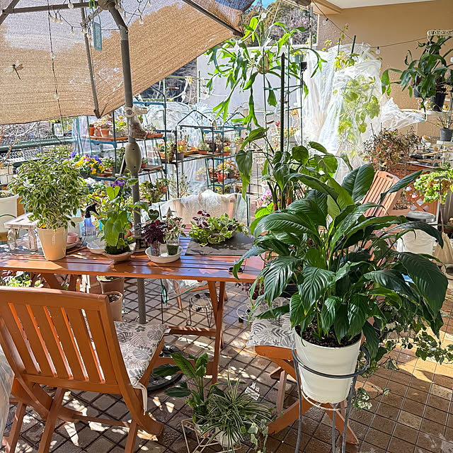 Aqettyさんの実例写真