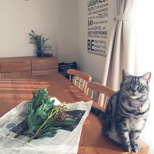 hiyupan88さんの実例写真