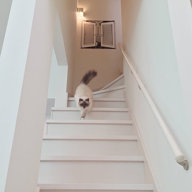mikanarlさんの実例写真
