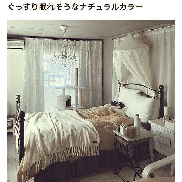 Shihoさんの実例写真