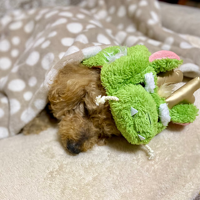 mさんの実例写真