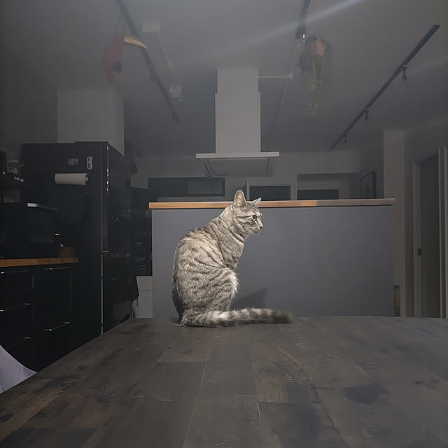 dsimbaさんの実例写真