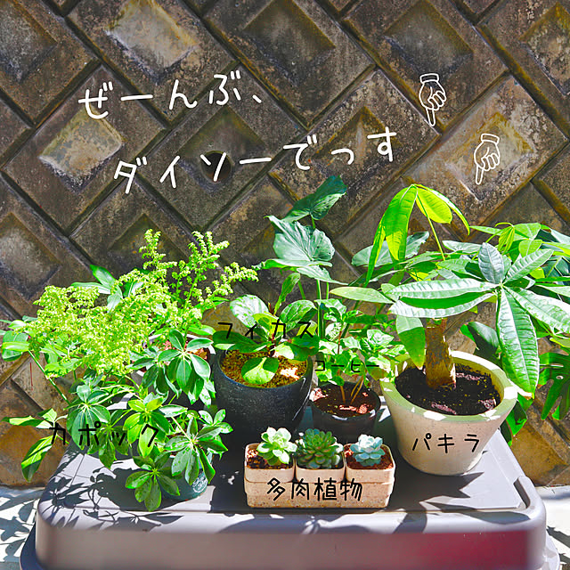 rukakoさんの実例写真