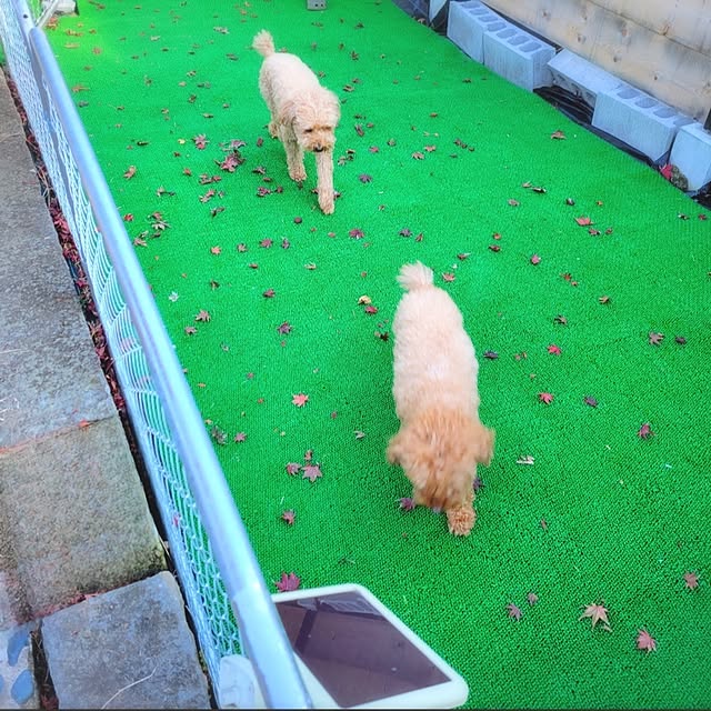 cherrycherryさんの実例写真