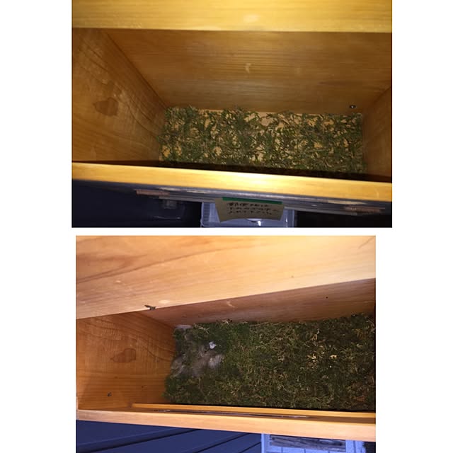 75nanameiさんの実例写真