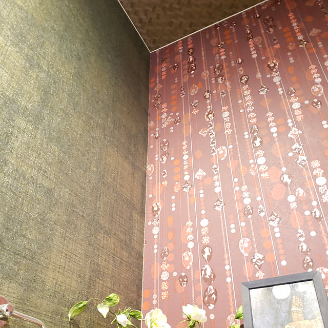 zenoさんの実例写真