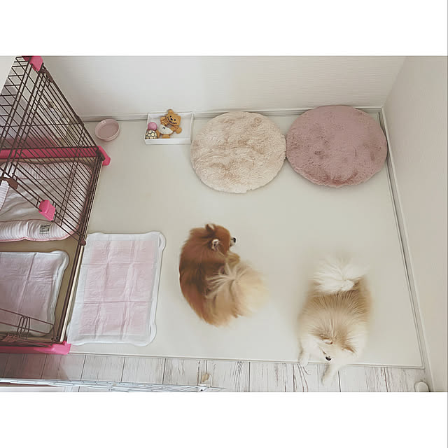 nyaapo_homeさんの実例写真